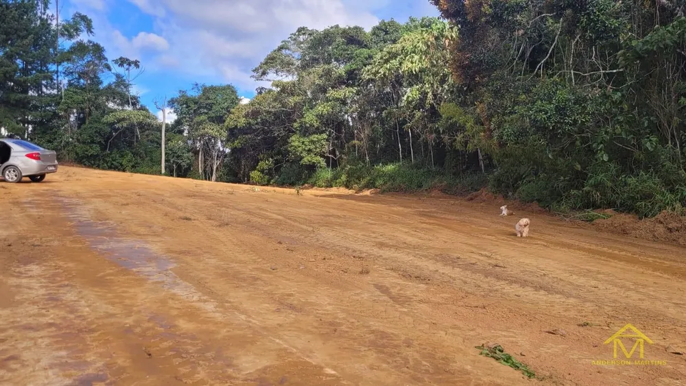 Terreno, 2 hectares - Foto 4