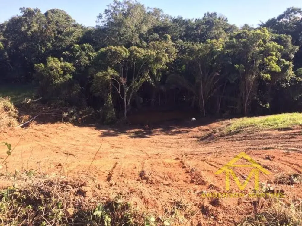 Terreno, 3 hectares - Foto 6