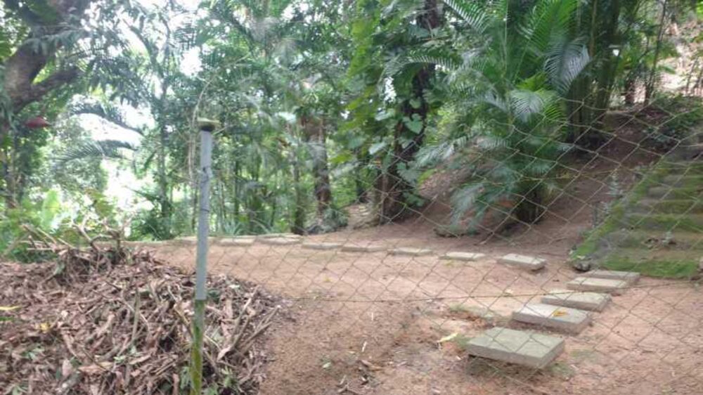 Chácara, 2 quartos, 1 hectares - Foto 11