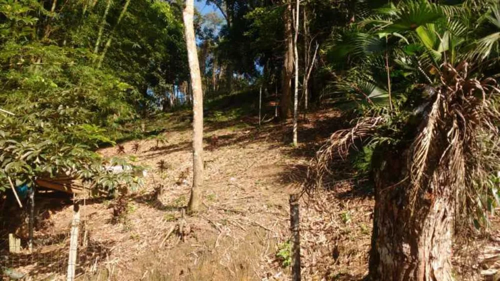 Chácara, 2 quartos, 1 hectares - Foto 46