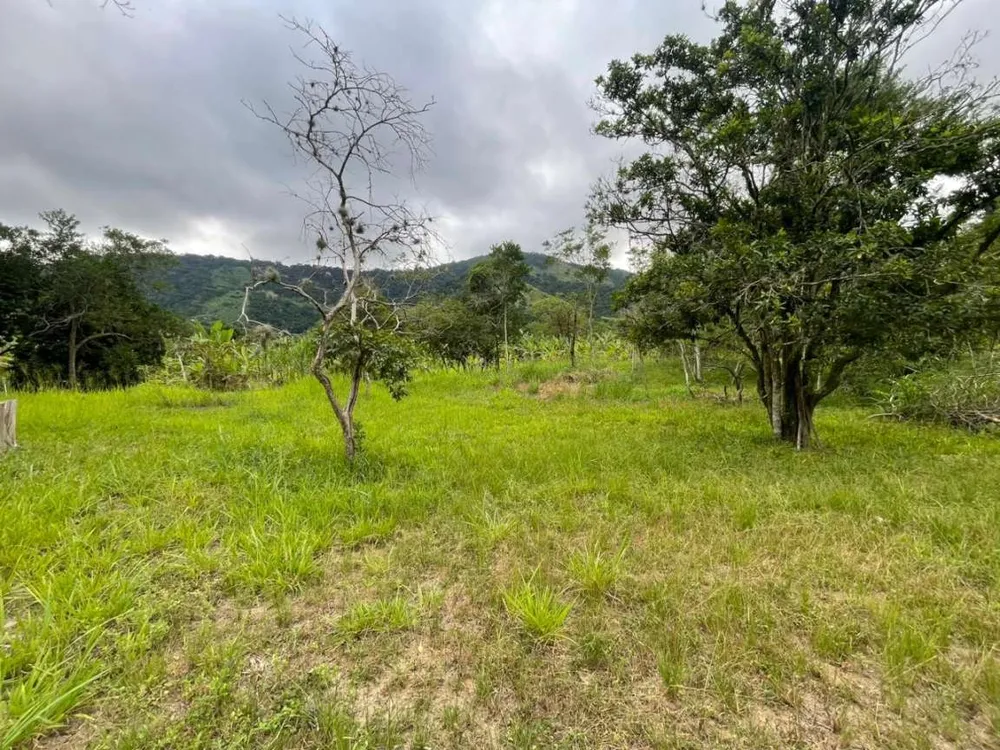 Chácara, 1 quarto, 8000 m² - Foto 32