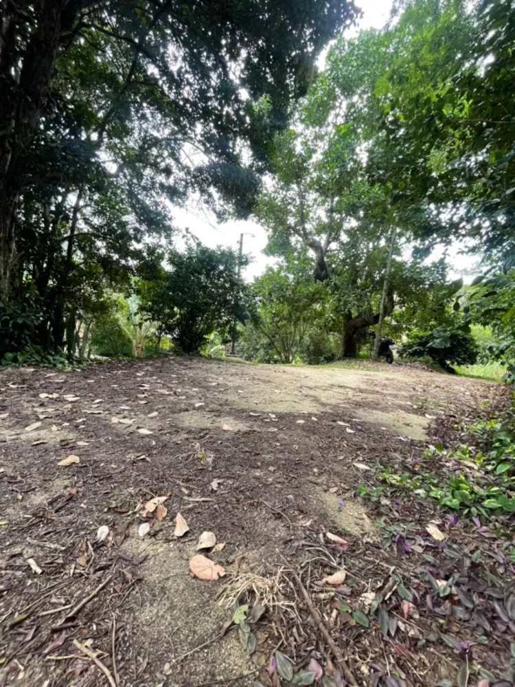 Chácara, 1 quarto, 8000 m² - Foto 26