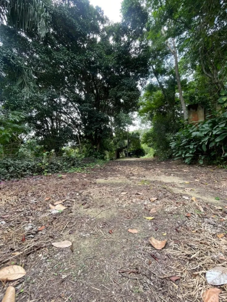 Chácara, 1 quarto, 8000 m² - Foto 24