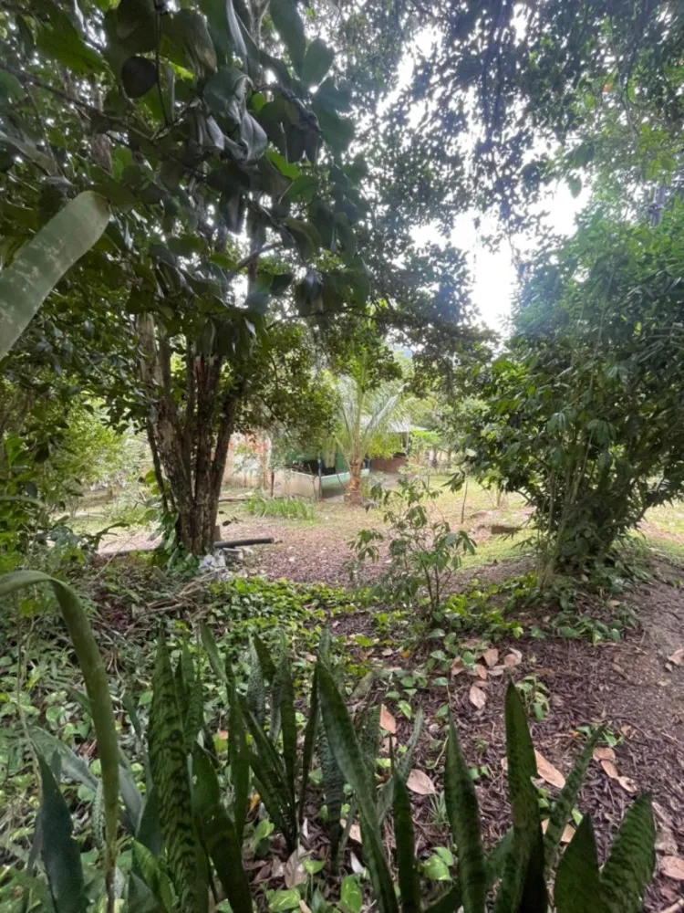 Chácara, 1 quarto, 8000 m² - Foto 18