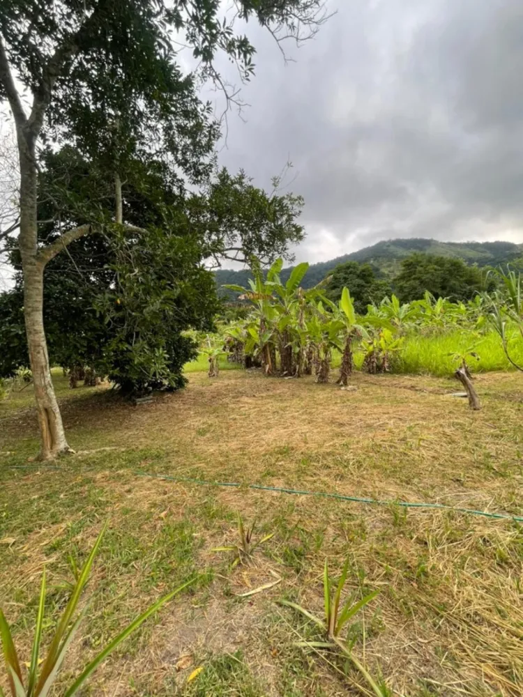 Chácara, 1 quarto, 8000 m² - Foto 30