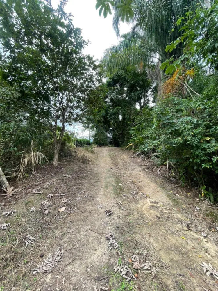 Chácara, 1 quarto, 8000 m² - Foto 19