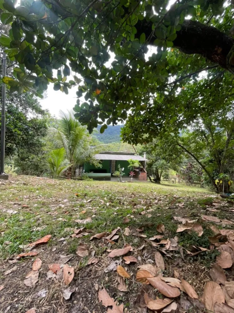 Chácara, 1 quarto, 8000 m² - Foto 5
