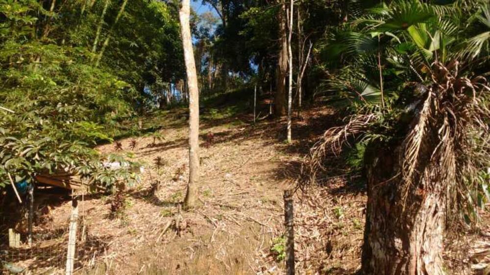 Terreno à venda com 2 quartos, 80m² - Foto 13