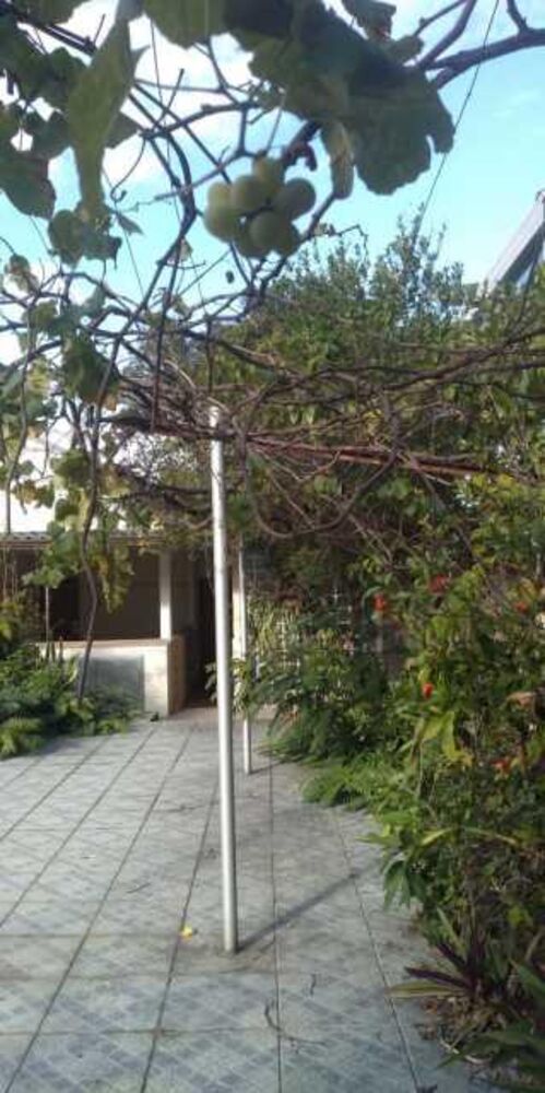 Prédio Inteiro à venda com 3 quartos, 564m² - Foto 8