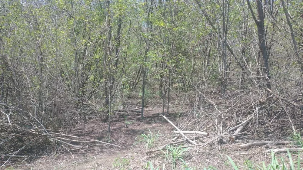 Sítio, 3100 m² - Foto 18