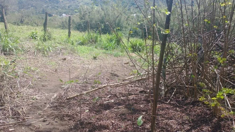 Sítio, 3100 m² - Foto 20