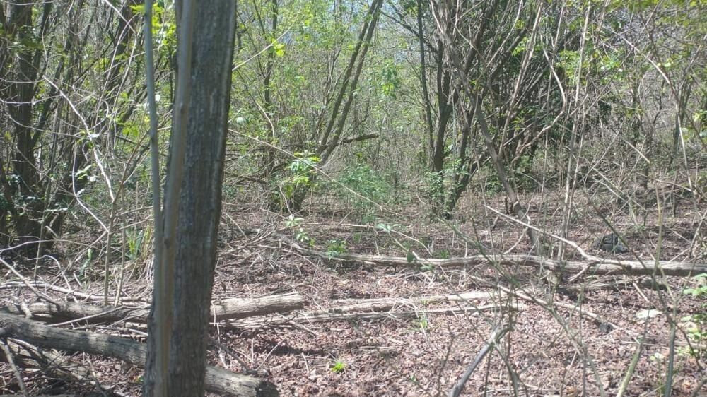 Sítio, 3100 m² - Foto 16