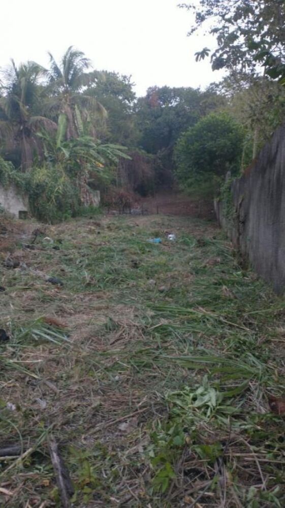 Sítio, 3100 m² - Foto 6