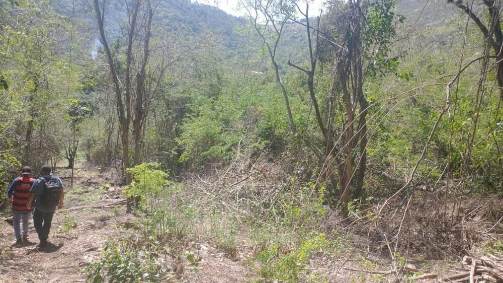 Sítio, 3100 m² - Foto 15