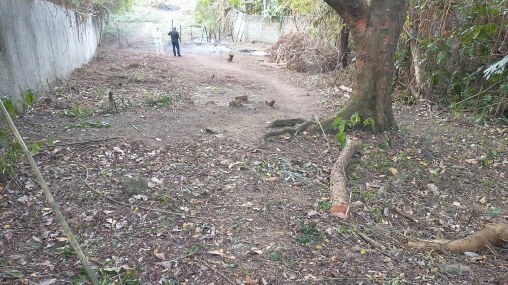 Sítio, 3100 m² - Foto 12