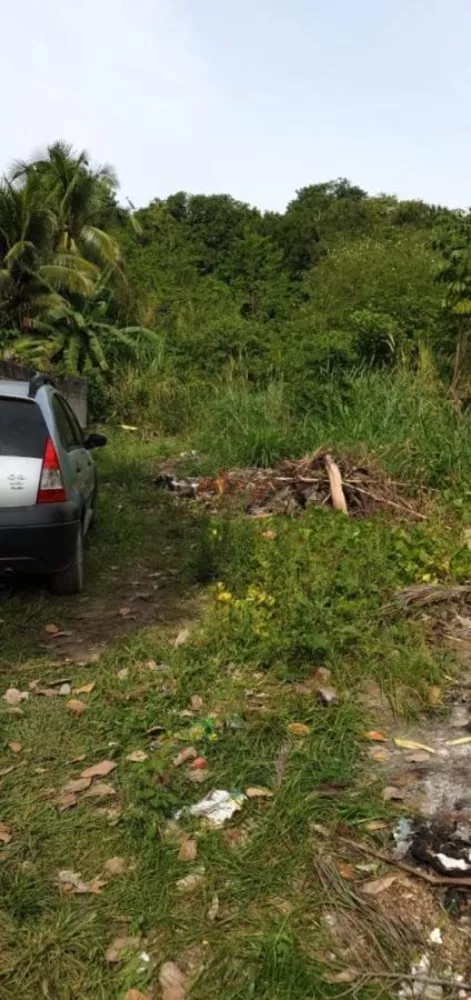 Sítio, 3100 m² - Foto 7