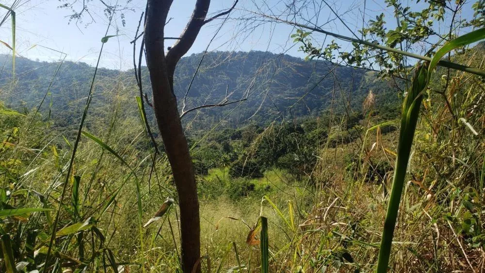 Sítio, 3100 m² - Foto 10