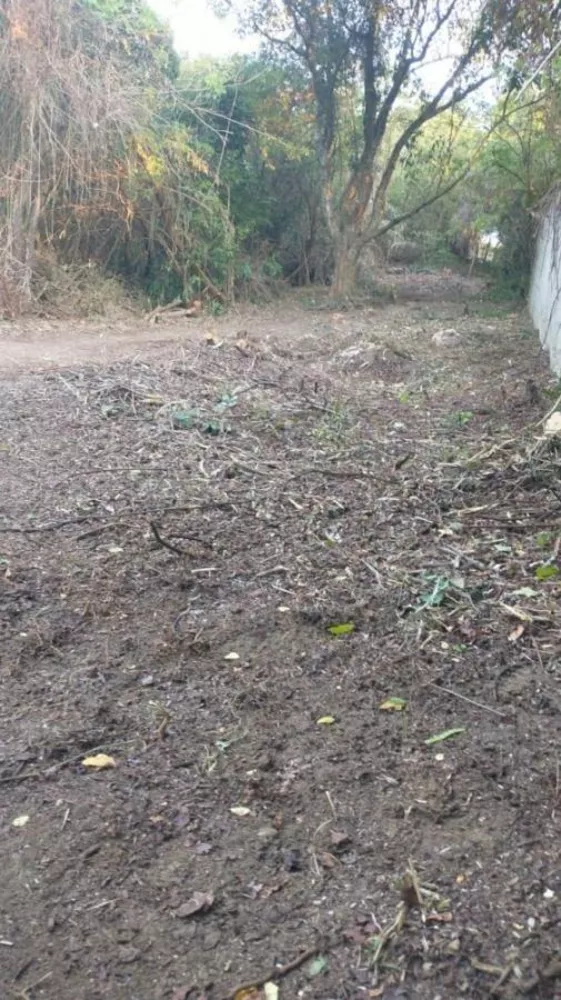 Sítio, 3100 m² - Foto 22