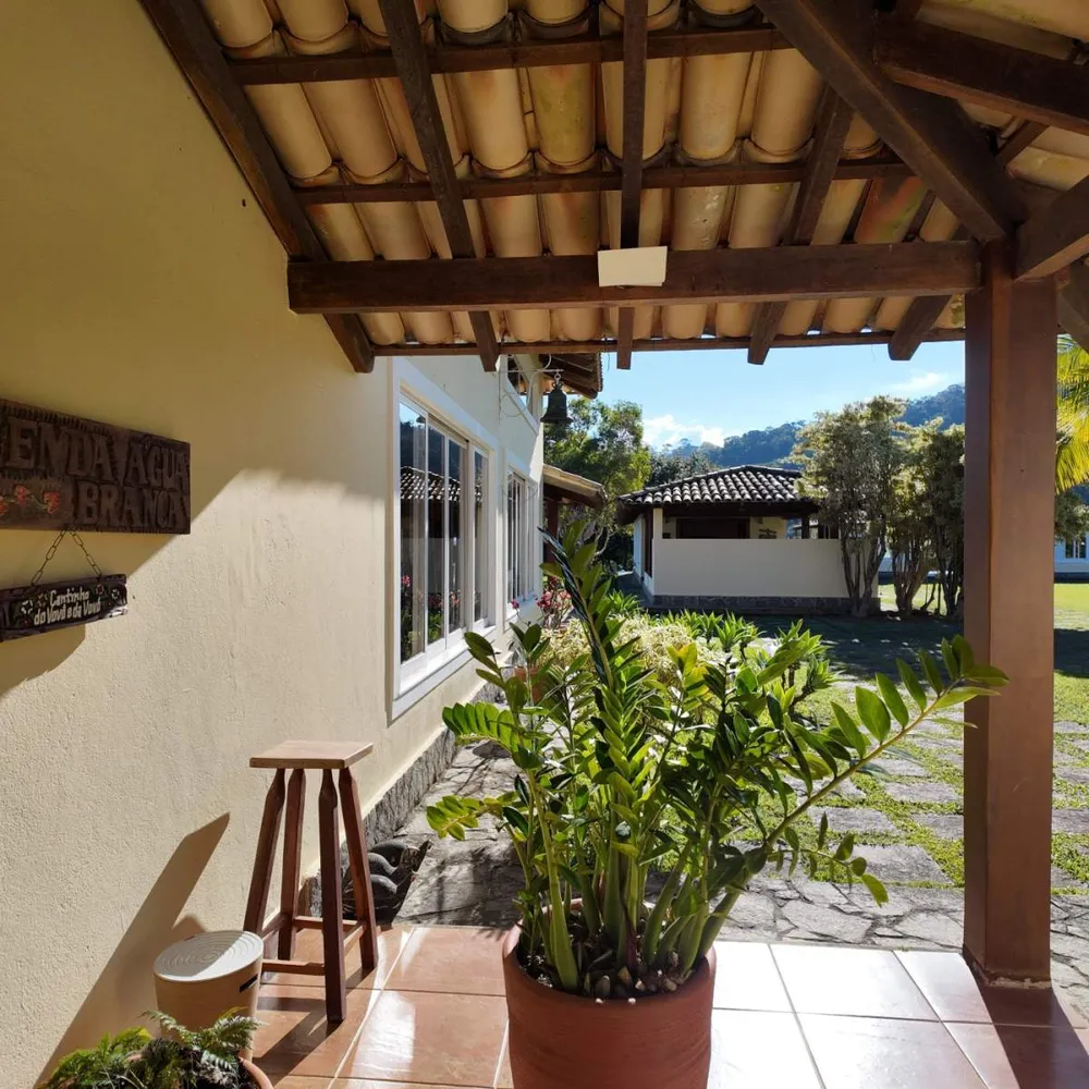 Fazenda, 250 hectares - Foto 39