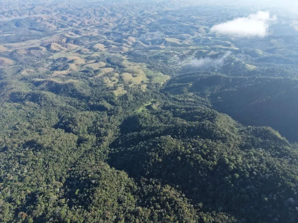 Chácara, 4 quartos, 250 hectares - Foto 8