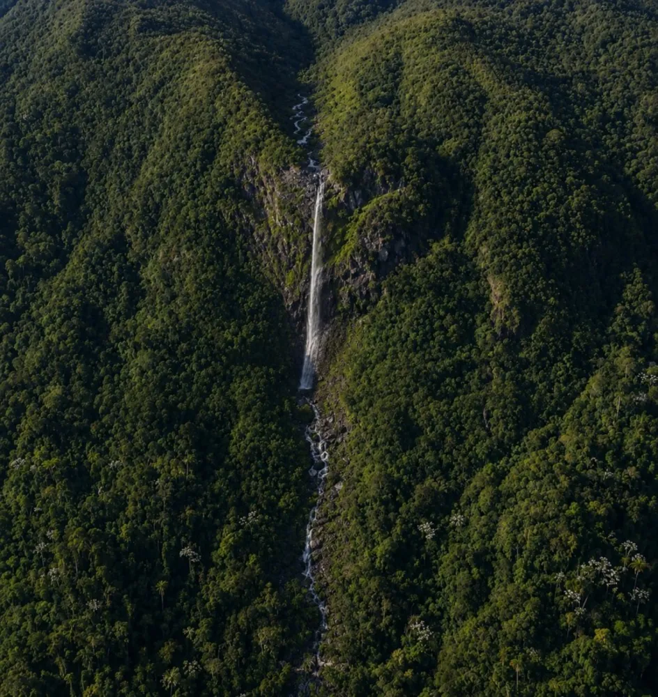 Chácara, 4 quartos, 250 hectares - Foto 1