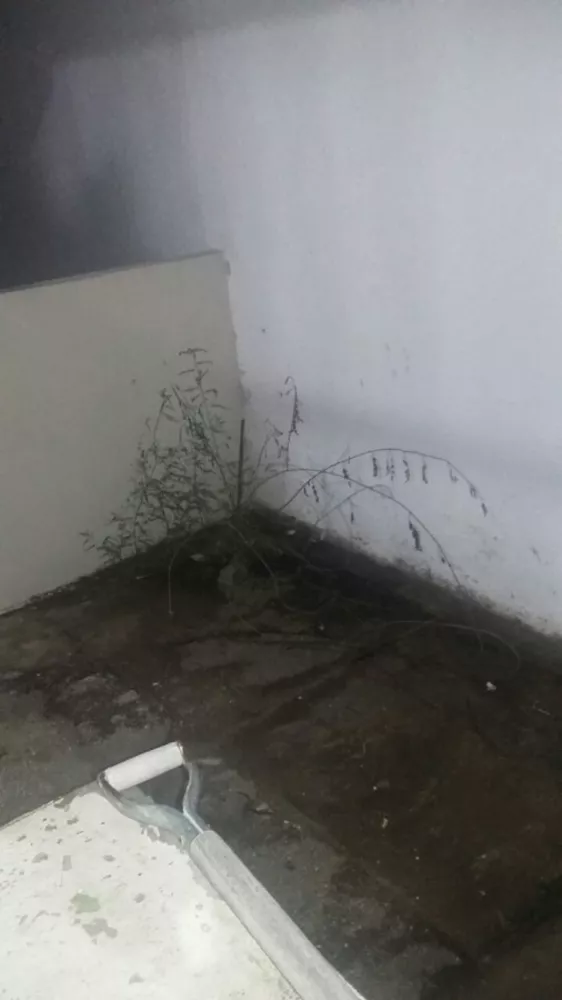 Casa, 2 quartos, 70 m² - Foto 23