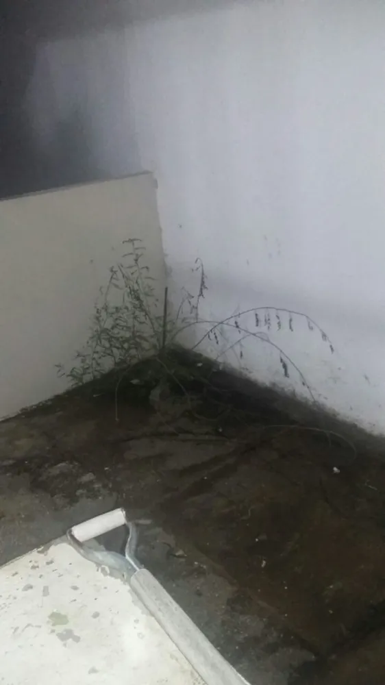 Casa, 2 quartos, 70 m² - Foto 46