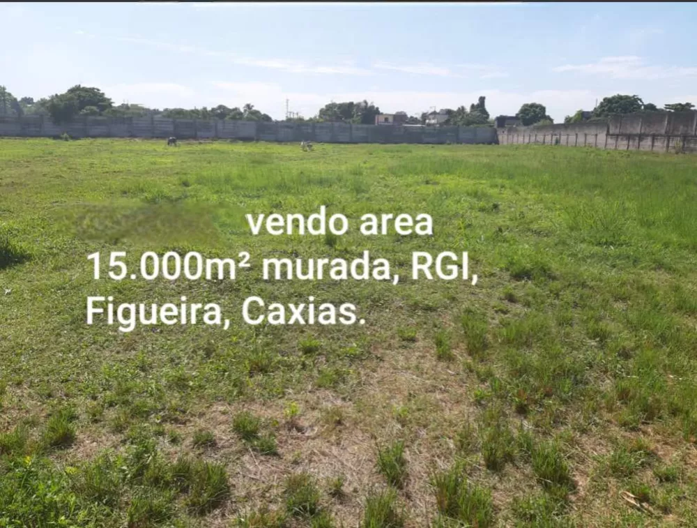 Terreno, 2 hectares - Foto 1