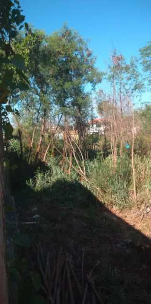 Terreno, 5909 m² - Foto 8