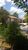 Terreno, 564 m² - Foto 15