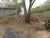 Terreno, 2000 m² - Foto 3