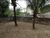 Terreno, 2000 m² - Foto 1