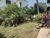 Terreno, 225 m² - Foto 5