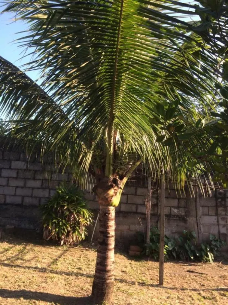 Casa - Foto 21
