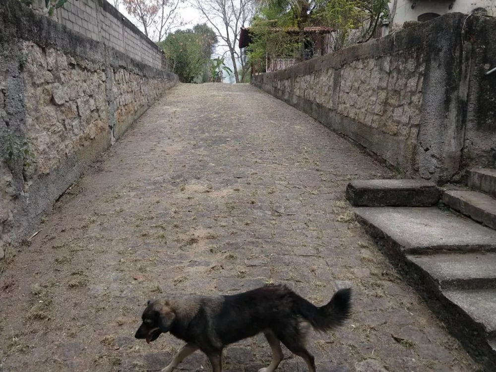 Casa - Foto 13