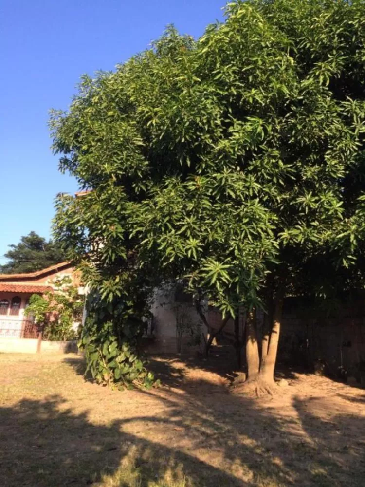 Casa - Foto 16