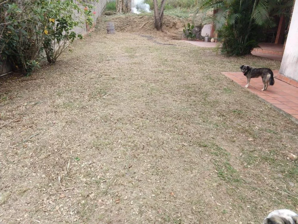 Casa - Foto 14