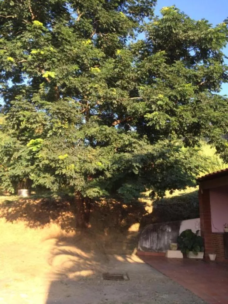Casa - Foto 17