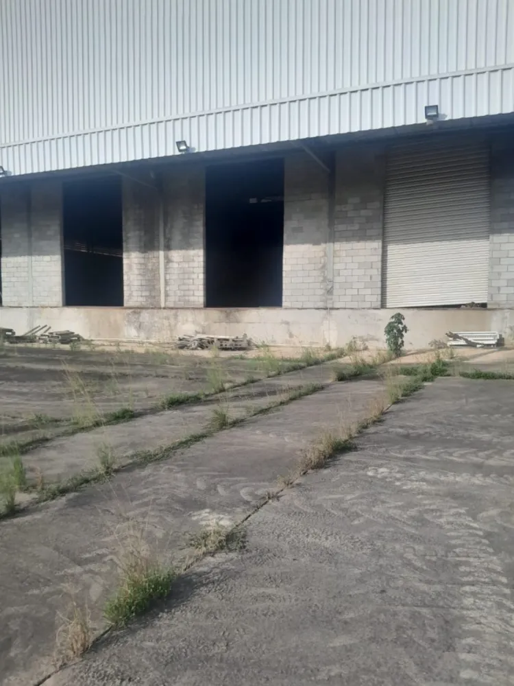 Depósito-Galpão, 3800 m² - Foto 4
