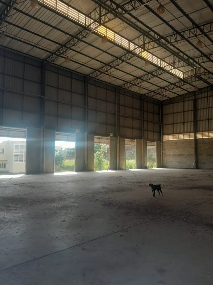 Depósito-Galpão, 3800 m² - Foto 22