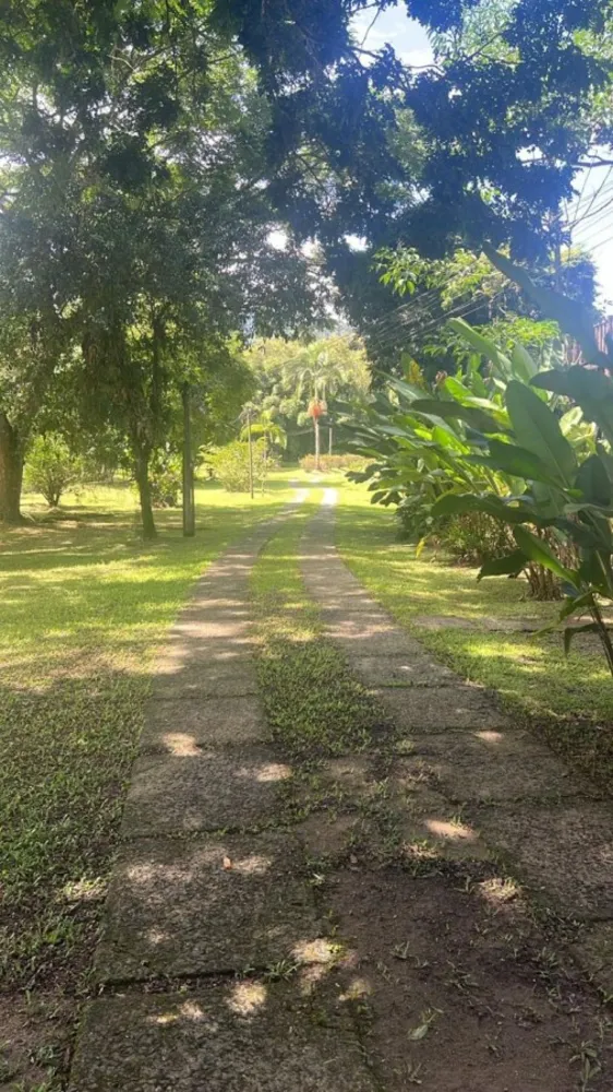 Sítio, 8 quartos, 3 hectares - Foto 46