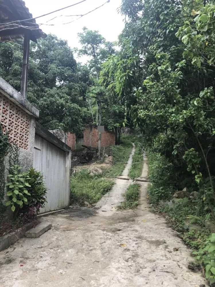 Sítio, 1200 m² - Foto 3