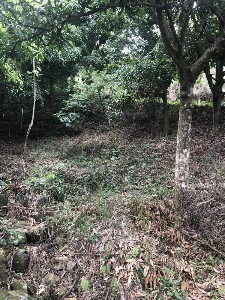 Sítio, 1200 m² - Foto 10