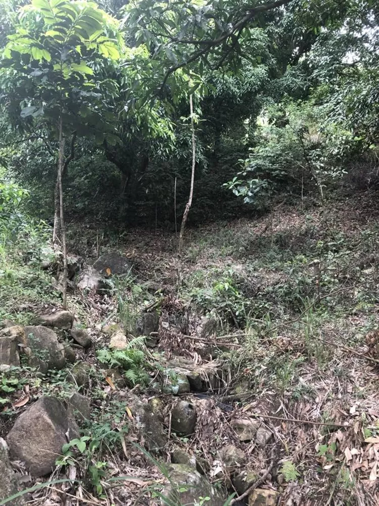 Sítio, 1200 m² - Foto 11