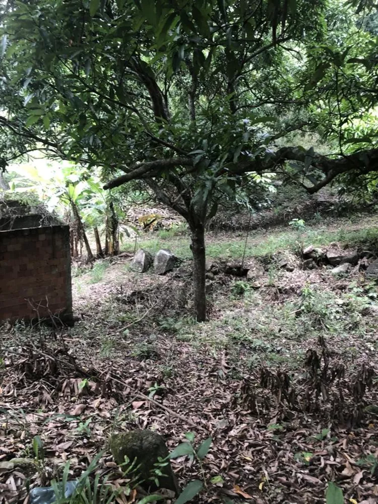 Sítio, 1200 m² - Foto 18