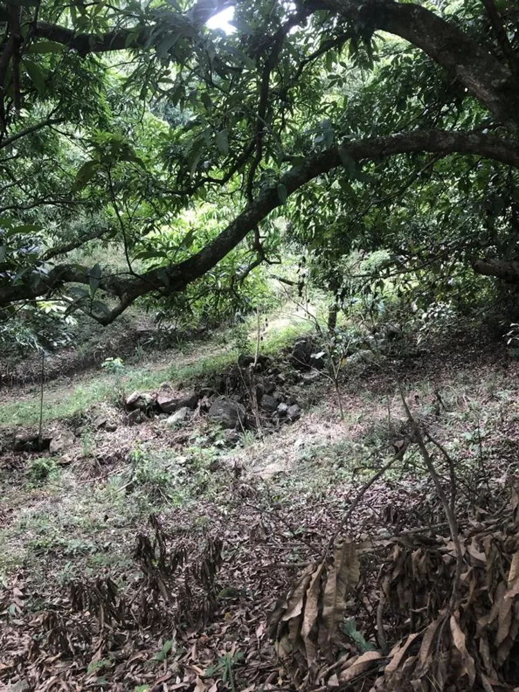 Sítio, 1200 m² - Foto 19