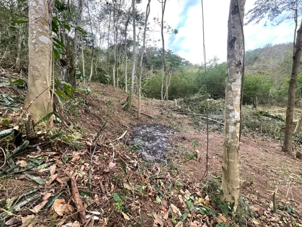 Sítio, 2209 m² - Foto 6