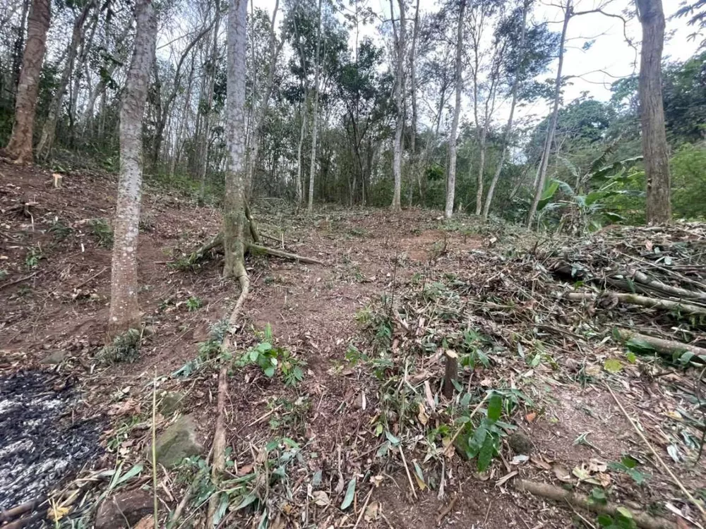 Sítio, 2209 m² - Foto 17