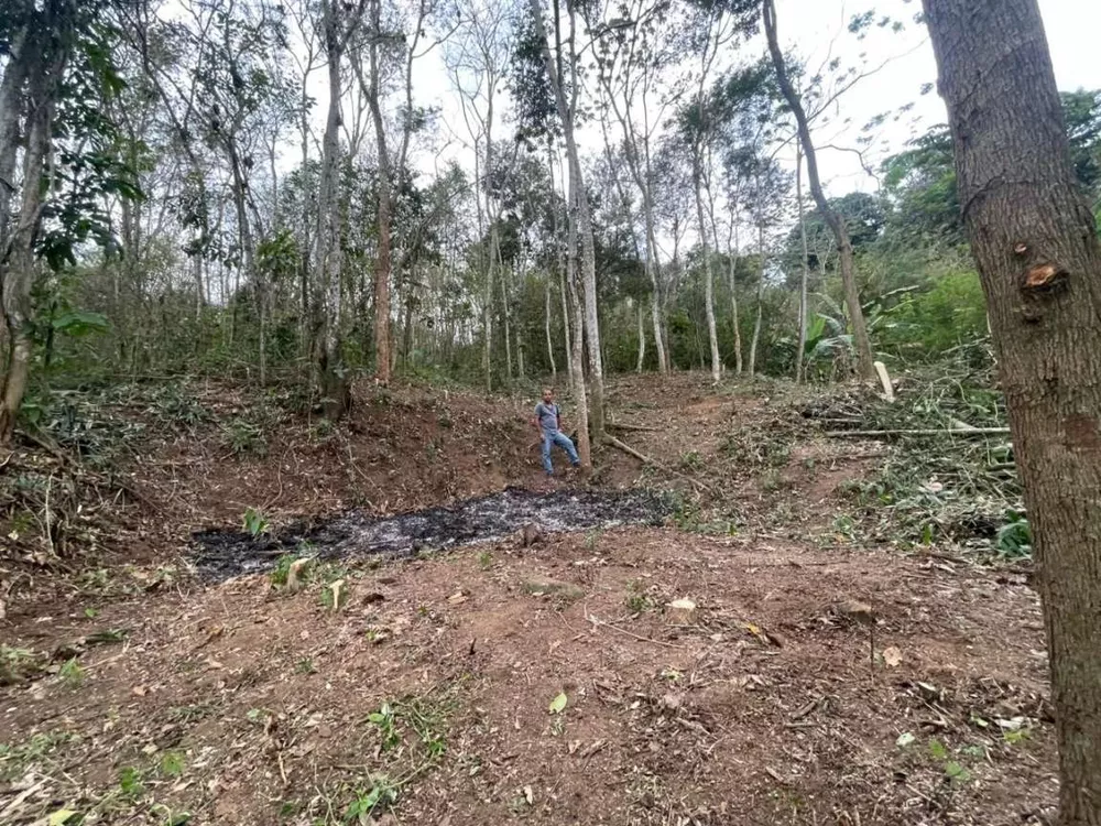 Sítio, 2209 m² - Foto 8