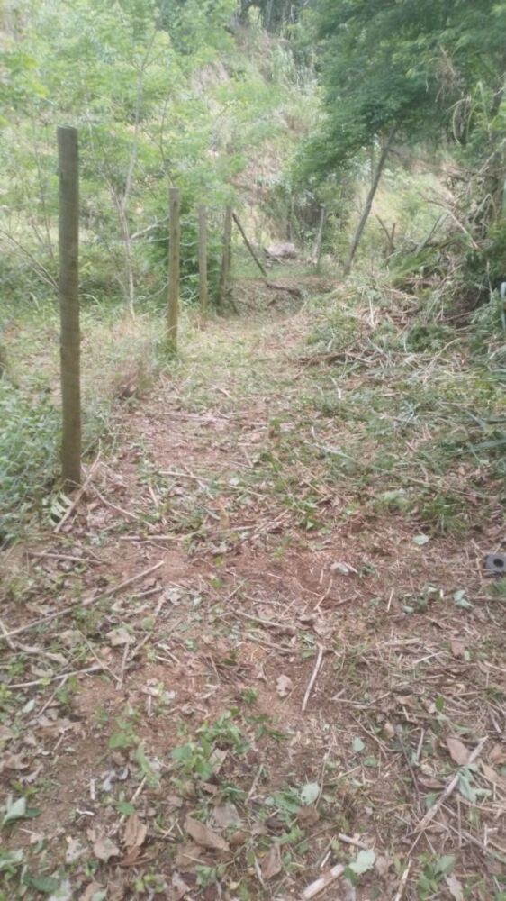 Sítio, 2209 m² - Foto 29